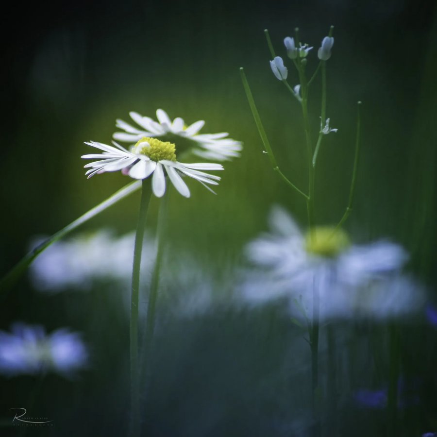 Naturfotografie Oberbayern – Bild 95 von 101