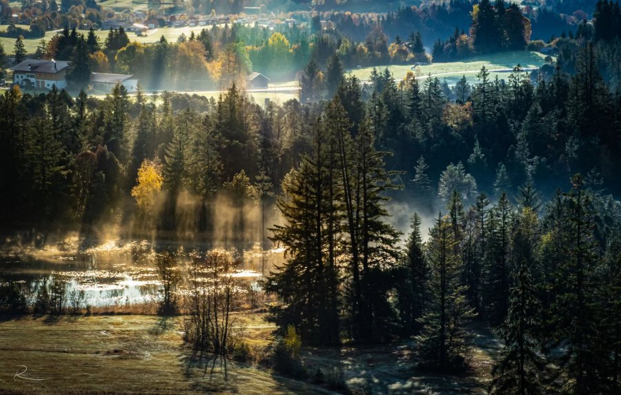 Naturfotografie Oberbayern – Bild 59 von 101