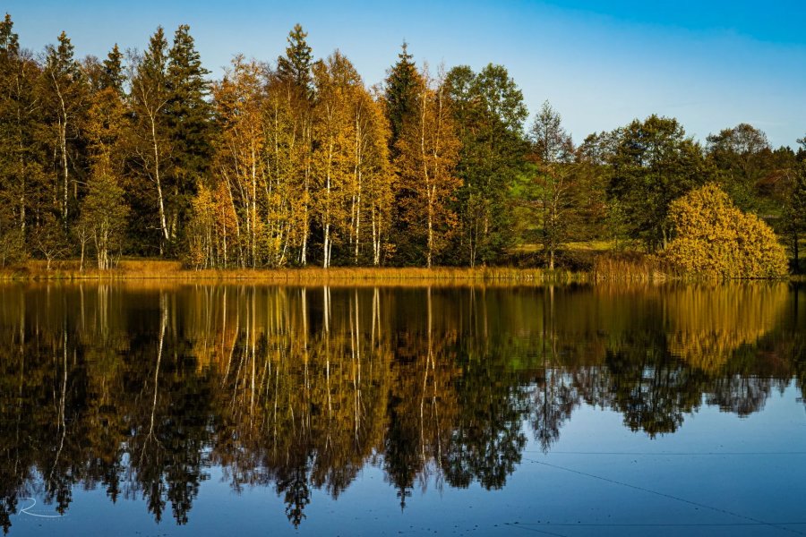 Naturfotografie Oberbayern – Bild 75 von 101