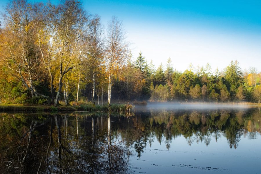 Naturfotografie Oberbayern – Bild 32 von 101