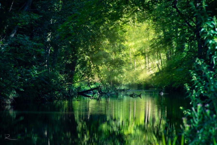 Naturfotografie Oberbayern – Bild 8 von 101