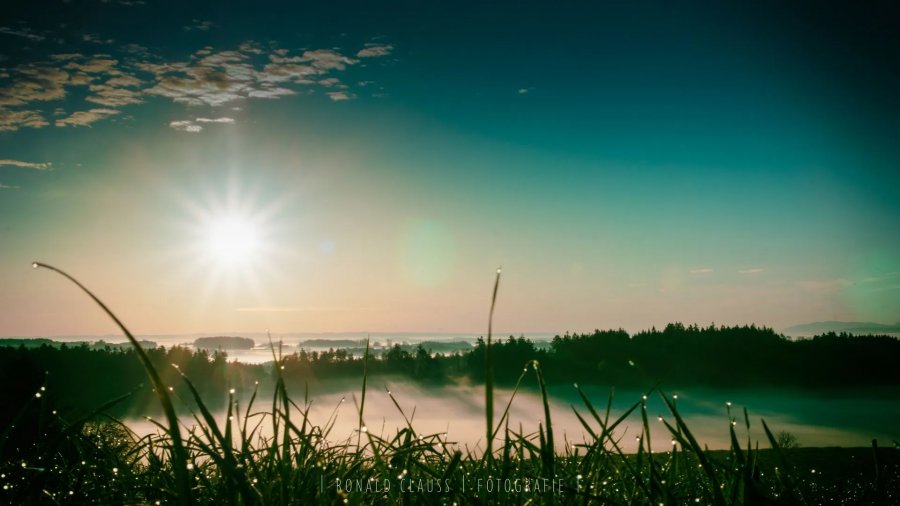 Naturfotografie Oberbayern – Bild 21 von 101