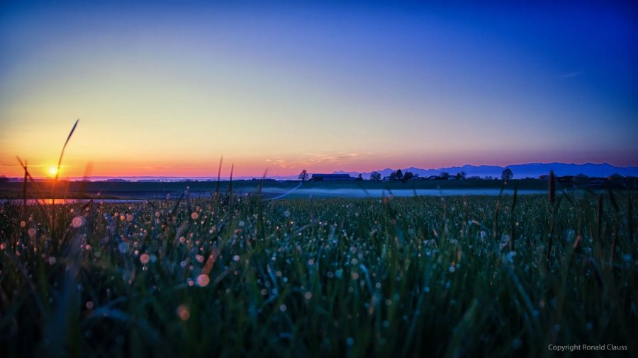 Naturfotografie Oberbayern – Bild 39 von 101