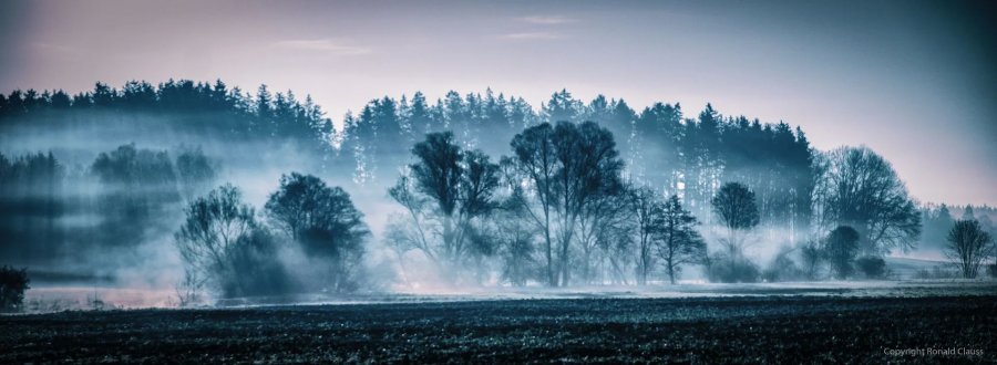 Naturfotografie Oberbayern – Bild 47 von 101