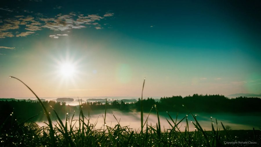 Naturfotografie Oberbayern – Bild 71 von 101