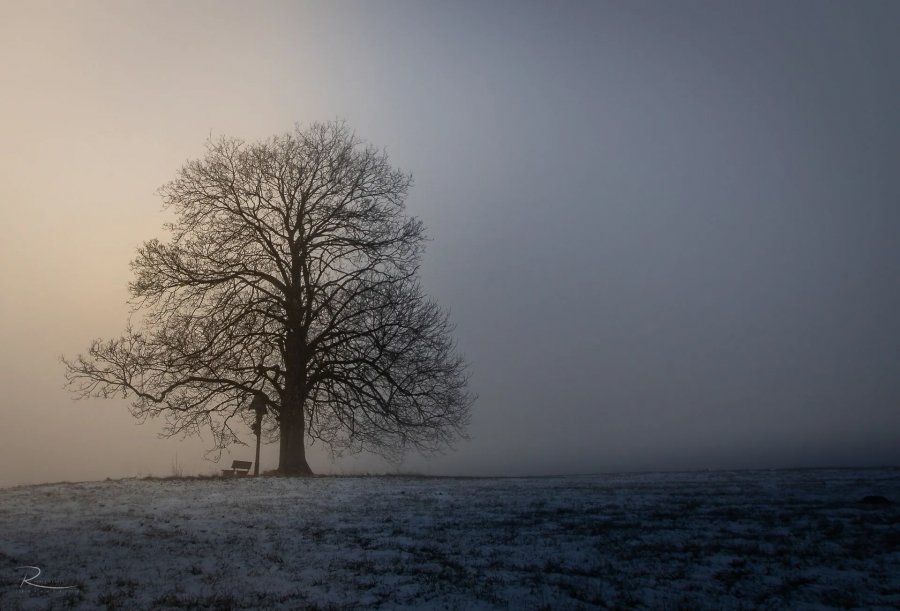 Naturfotografie Oberbayern – Bild 43 von 101