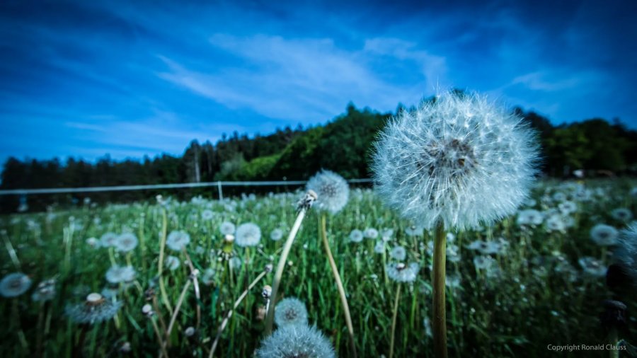 Naturfotografie Oberbayern – Bild 22 von 101