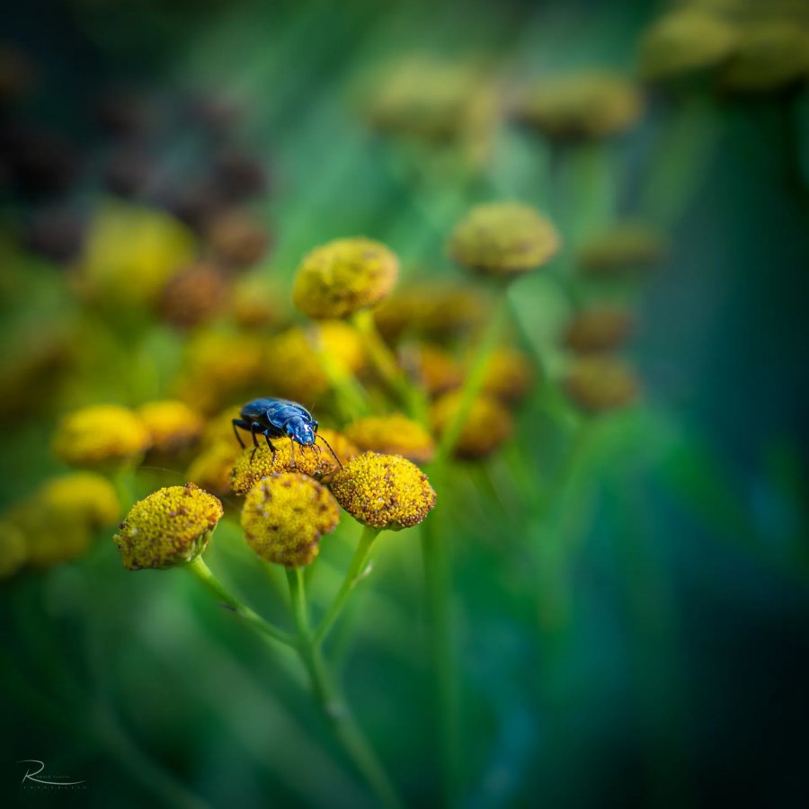 Naturfotografie Oberbayern – Bild 9 von 101