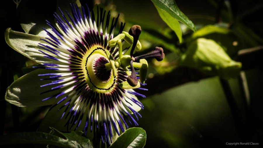 Naturfotografie Oberbayern – Bild 57 von 101