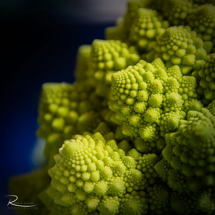 Naturfotografie Oberbayern – Bild 76 von 101