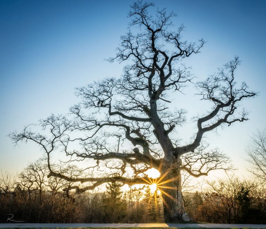 Naturfotografie Oberbayern – Bild 44 von 101