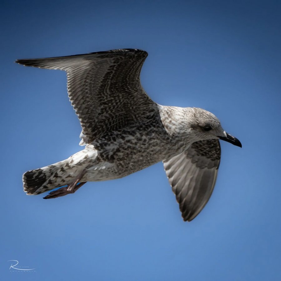 Naturfotografie Oberbayern – Bild 31 von 101