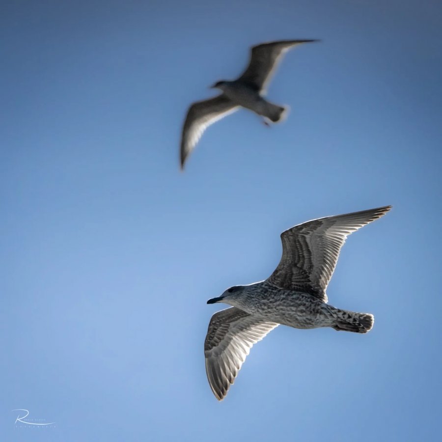 Naturfotografie Oberbayern – Bild 6 von 101
