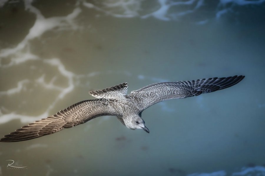Naturfotografie Oberbayern – Bild 50 von 101