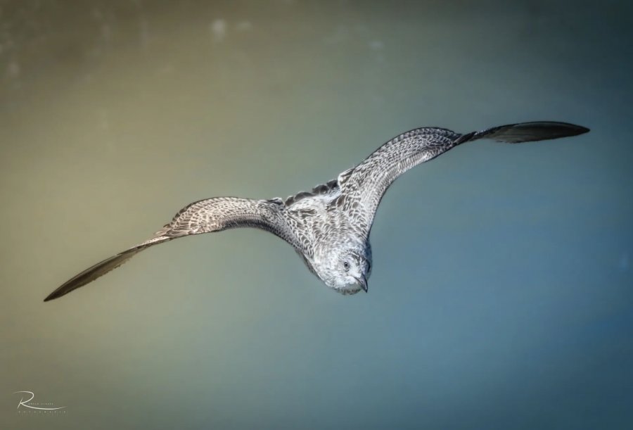 Naturfotografie Oberbayern – Bild 69 von 101