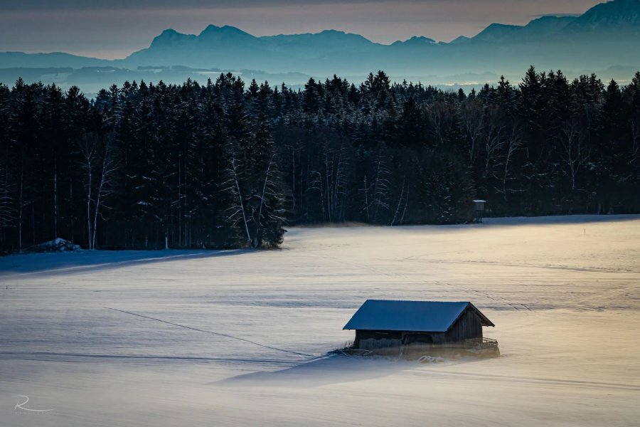 Naturfotografie Oberbayern – Bild 28 von 101