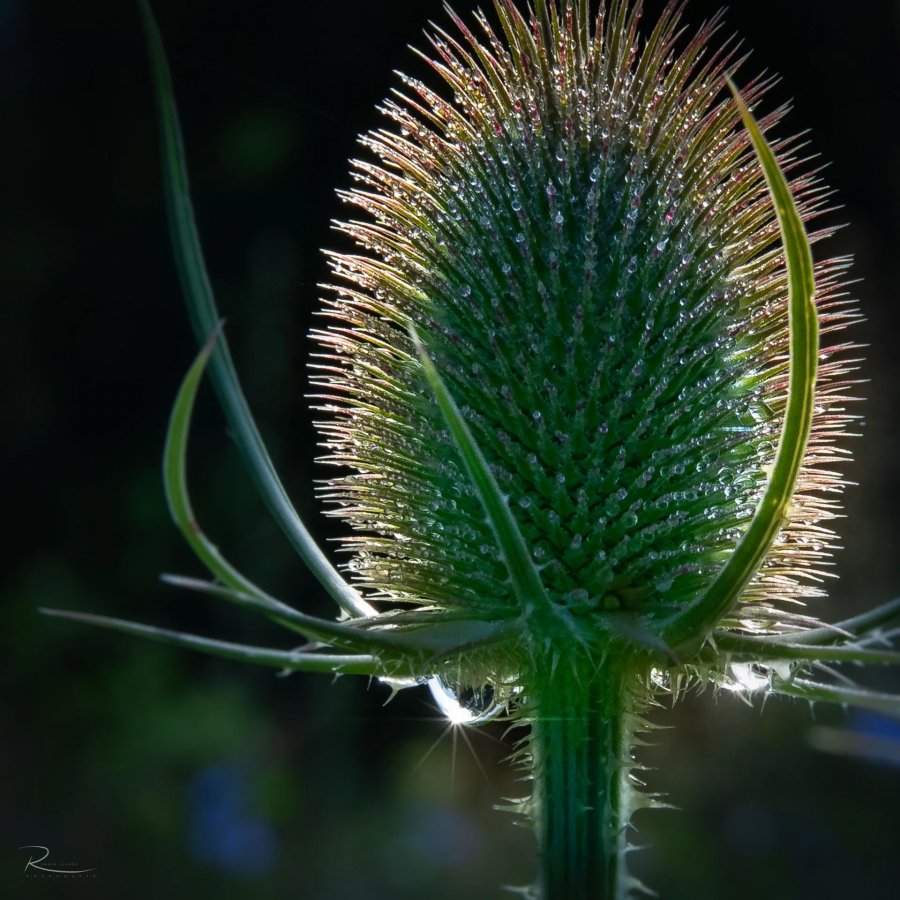 Naturfotografie Oberbayern – Bild 11 von 101