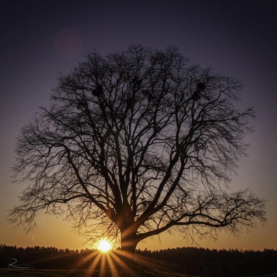 Naturfotografie Oberbayern – Bild 99 von 101