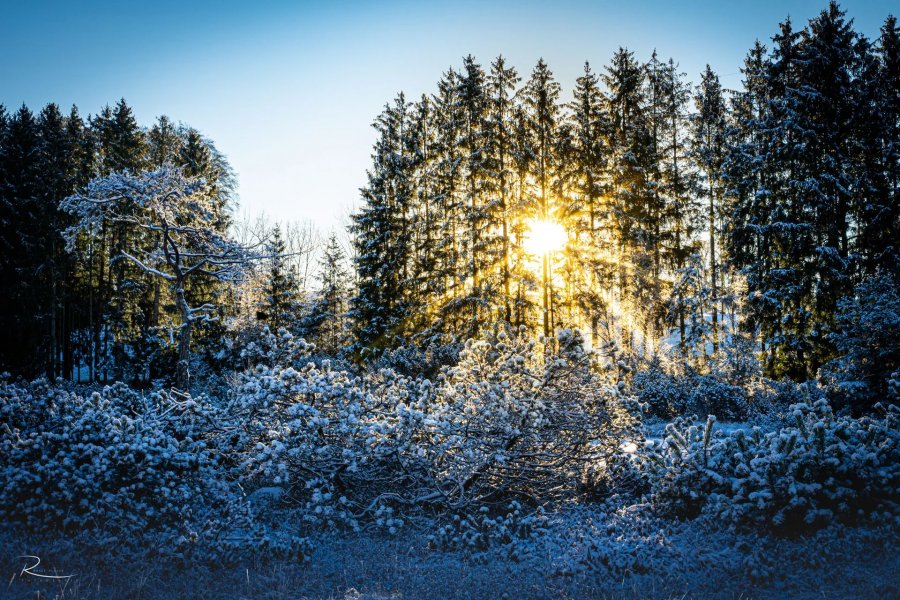 Naturfotografie Oberbayern – Bild 13 von 101