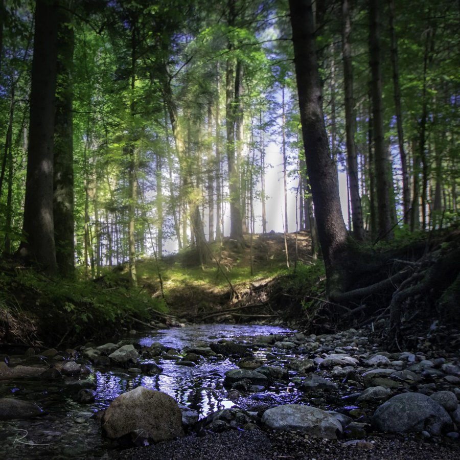 Naturfotografie Oberbayern – Bild 37 von 101