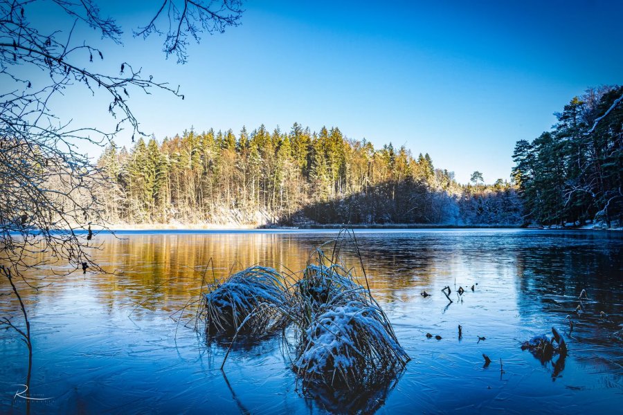 Naturfotografie Oberbayern – Bild 14 von 101