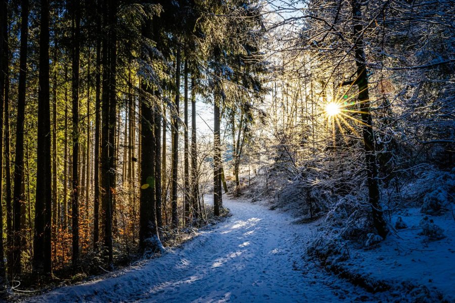 Naturfotografie Oberbayern – Bild 19 von 101