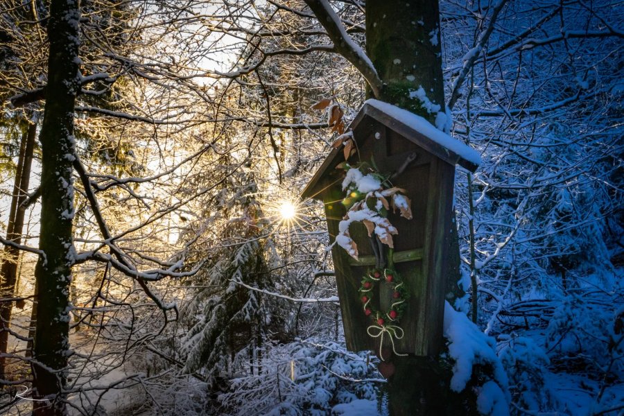 Naturfotografie Oberbayern – Bild 88 von 101