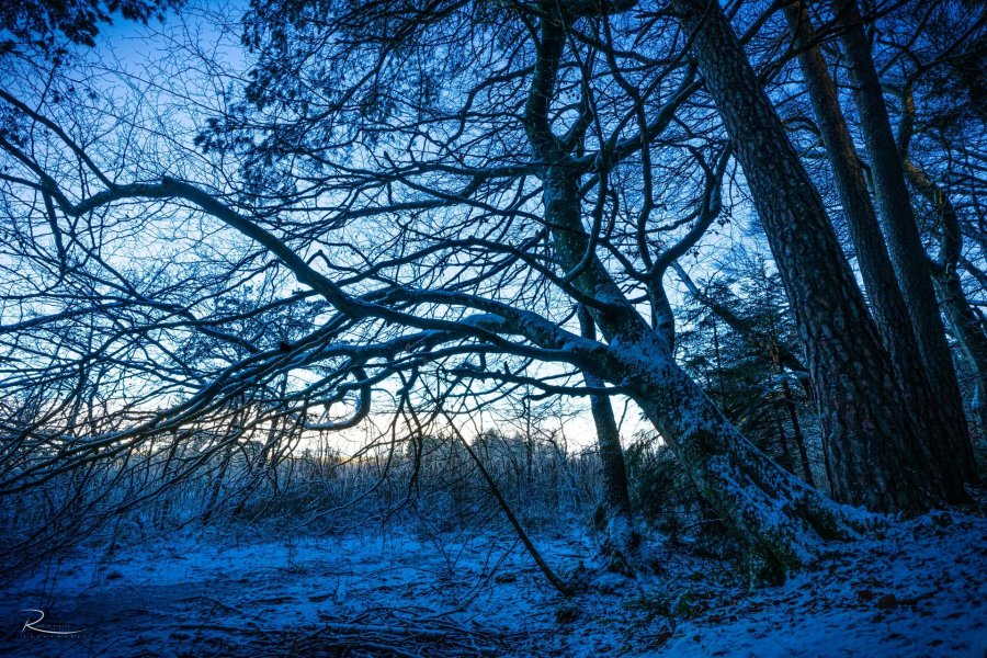 Naturfotografie Oberbayern – Bild 94 von 101