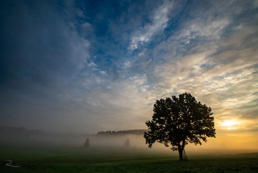 Naturfotografie Oberbayern – Bild 80 von 101