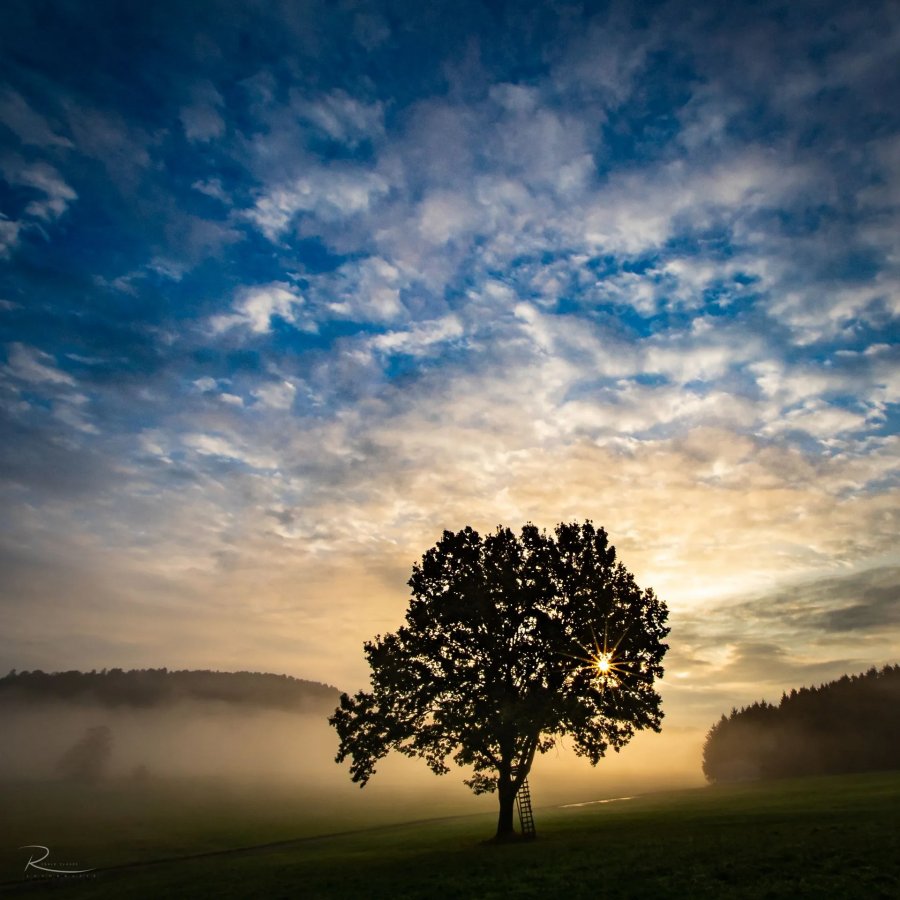 Naturfotografie Oberbayern – Bild 34 von 101
