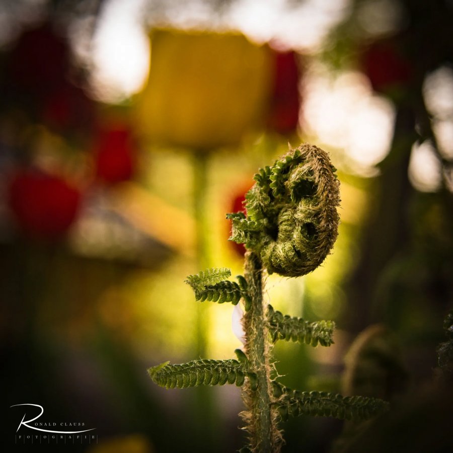 Naturfotografie Oberbayern – Bild 56 von 101