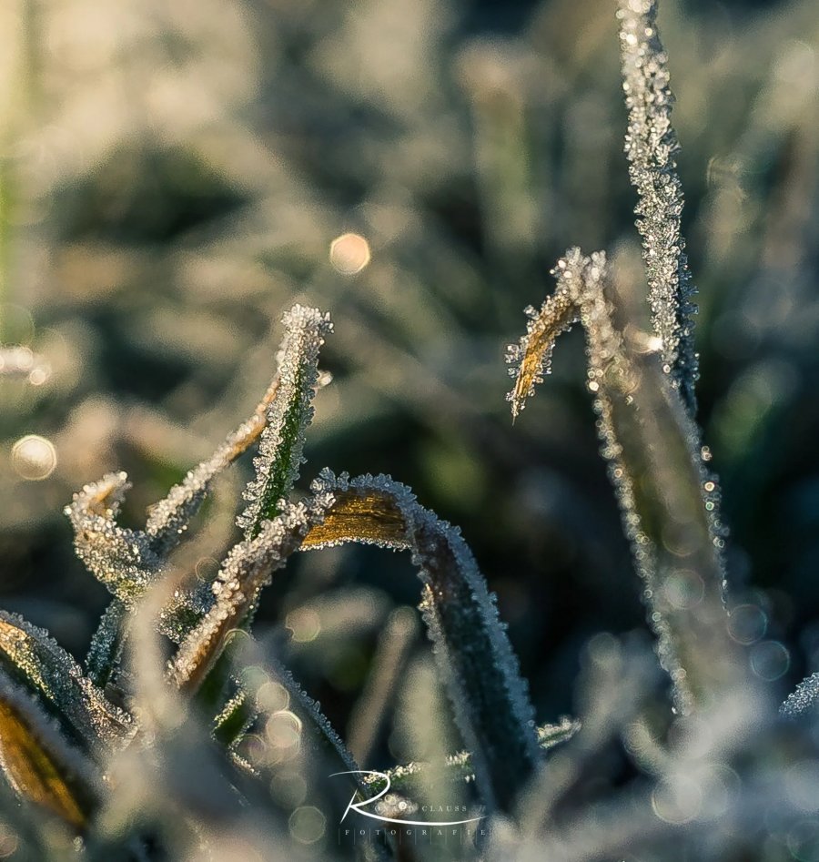 Naturfotografie Oberbayern – Bild 53 von 101