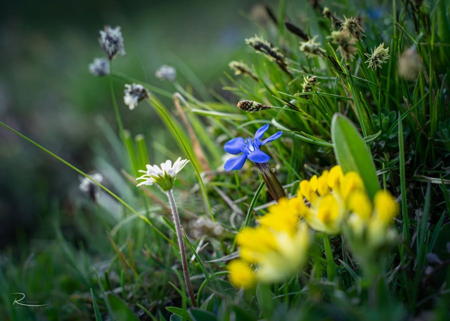 Naturfotografie Oberbayern – Bild 81 von 101