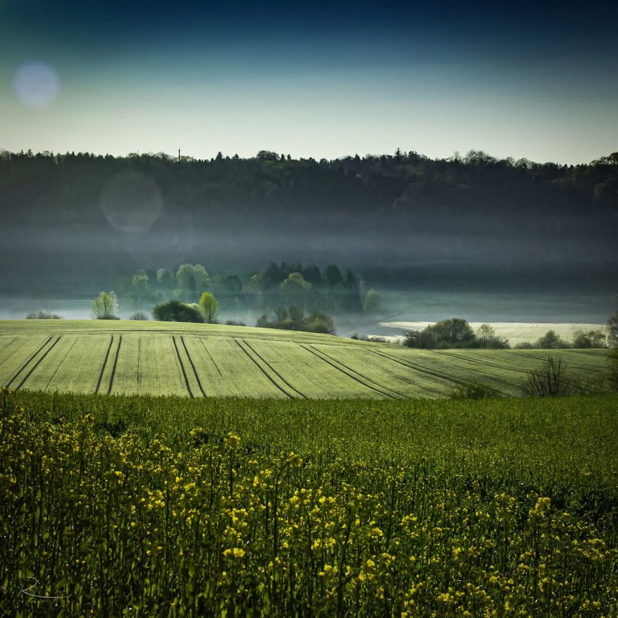 Naturfotografie Oberbayern – Bild 85 von 101