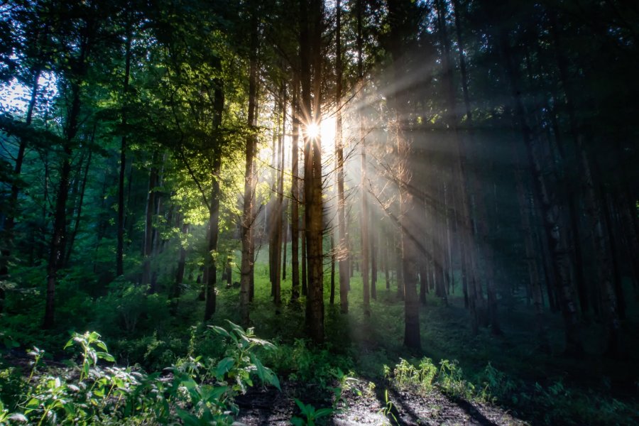Naturfotografie Oberbayern – Bild 15 von 101