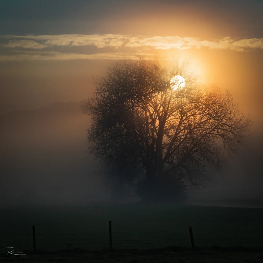 Naturfotografie Oberbayern – Bild 16 von 101