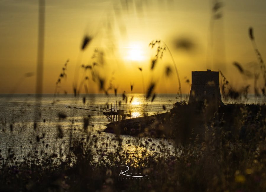 Naturfotografie Oberbayern – Bild 84 von 101
